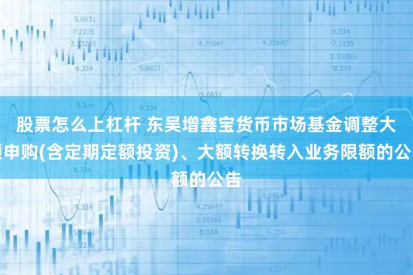 股票怎么上杠杆 东吴增鑫宝货币市场基金调整大额申购(含定期定额投资)、大额转换转入业务限额的公告