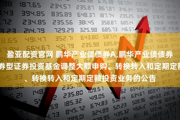 盈亚配资官网 鹏华产业债债券A,鹏华产业债债券C: 鹏华产业债债券型证券投资基金调整大额申购、转换转入和定期定额投资业务的公告