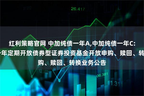 红利策略官网 中加纯债一年A,中加纯债一年C: 中加纯债一年定期开放债券型证券投资基金开放申购、赎回、转换业务公告