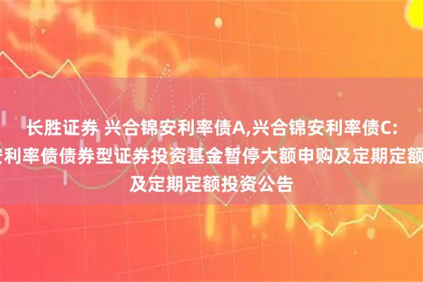 长胜证券 兴合锦安利率债A,兴合锦安利率债C: 兴合锦安利率债债券型证券投资基金暂停大额申购及定期定额投资公告