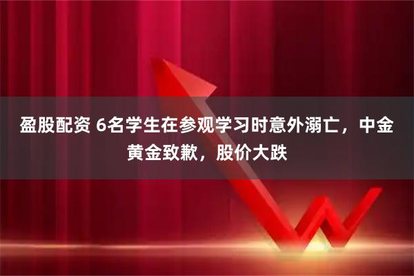 盈股配资 6名学生在参观学习时意外溺亡，中金黄金致歉，股价大跌